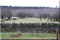 Pasture, Cefn-crib Road