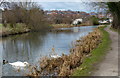 The Erewash Canal at Ilkeston