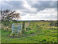 Footpaths, Leysdown