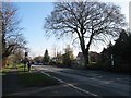 Bus stops on Hull Road, Cottingham