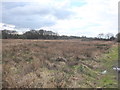 Footpath and scrub land South of Slate Farm