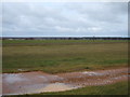 Exercise track, Newmarket Racecourse