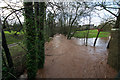 SO3914 : River Trothy flood by Dai Martin