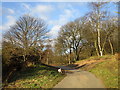 The Ridgeway Cycle Path