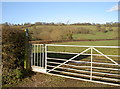 Footpath over Bushy Common