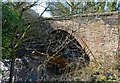 Bridge Over The Water of Coyle