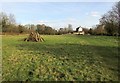 ST6560 : Meadow, Farmborough by Derek Harper