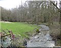 A tributary of the river Ystrad