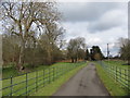 Footpath near Sutton Green