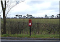 Elizabeth II postbox on the A1304 near Newmarket