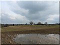 SJ7949 : Halmer End: field looking towards Hollins Farm by Jonathan Hutchins