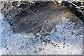 Benchmark on culvert beside Cassington Road