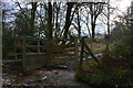 West Somerset : Small Stream & Gate