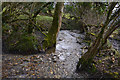 West Somerset : Small Stream