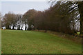ST0232 : West Somerset : Grassy Field by Lewis Clarke