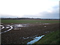 Crop field off Hyde Road