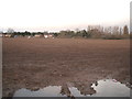 Farmland, Fornham All Saints