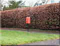 Elizabeth II postbox on Woodland Close, Risby