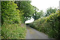 The road up to Brongwyn