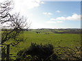 Gortnagarn Townland