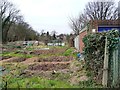 Cuckoo Hill allotments, Pinner