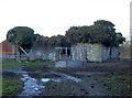 Overgrown and neglected barn