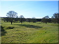 Grazing, Low Caythorpe