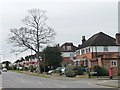 TQ1188 : Tree on the north side of Eastcote Road by Christine Johnstone