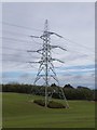 NT9134 : Pylon with its personal shrubbery  by Russel Wills