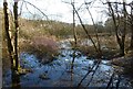 Wetlands at Oldhall Ponds