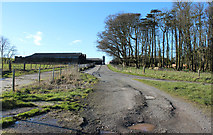 NX4745 : Road into Garlieston Home Farm by Billy McCrorie