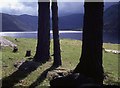 NO3083 : Dark Loch Muick from a pine plantation by Alan Reid