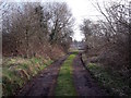 Old railway curve at Forbes Hole