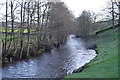 River Nidd