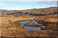 NS0786 : Bog pool on Meall an Fharaidh by Alan Reid