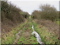 W5760 : Muddy trackway near Cross Barry by Hywel Williams