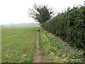 Footpath to The Carrs