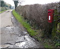 Postbox at the entrance to Shelford Manor