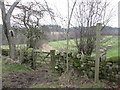 Low Grantley end of the Winksley Moor bridleway