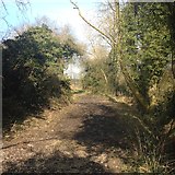 SP6798 : Pathway leaving Burton Overy by Dave Thompson