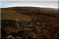 SD7060 : Boundary Wall winding towards Ravens Castle by Chris Heaton