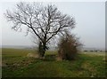 Footpath on Upperthorpe Hill