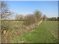 Fieldside Footpath near Crendon House