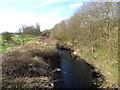 The River Salwarpe at the edge of King George