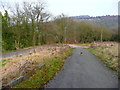 Footpath on former mill driveway, Kebroyd, Ripponden