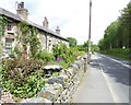 Tyddyn Pwyth Cottages