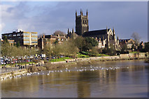 SO8454 : River Severn, Worcester by Stephen McKay