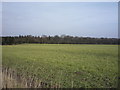 Farmland off Woodhead Road