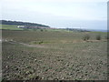 SK3098 : Crop field towards Moorside Farm by JThomas