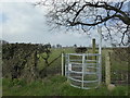 Kissing gate on Jericho Lane